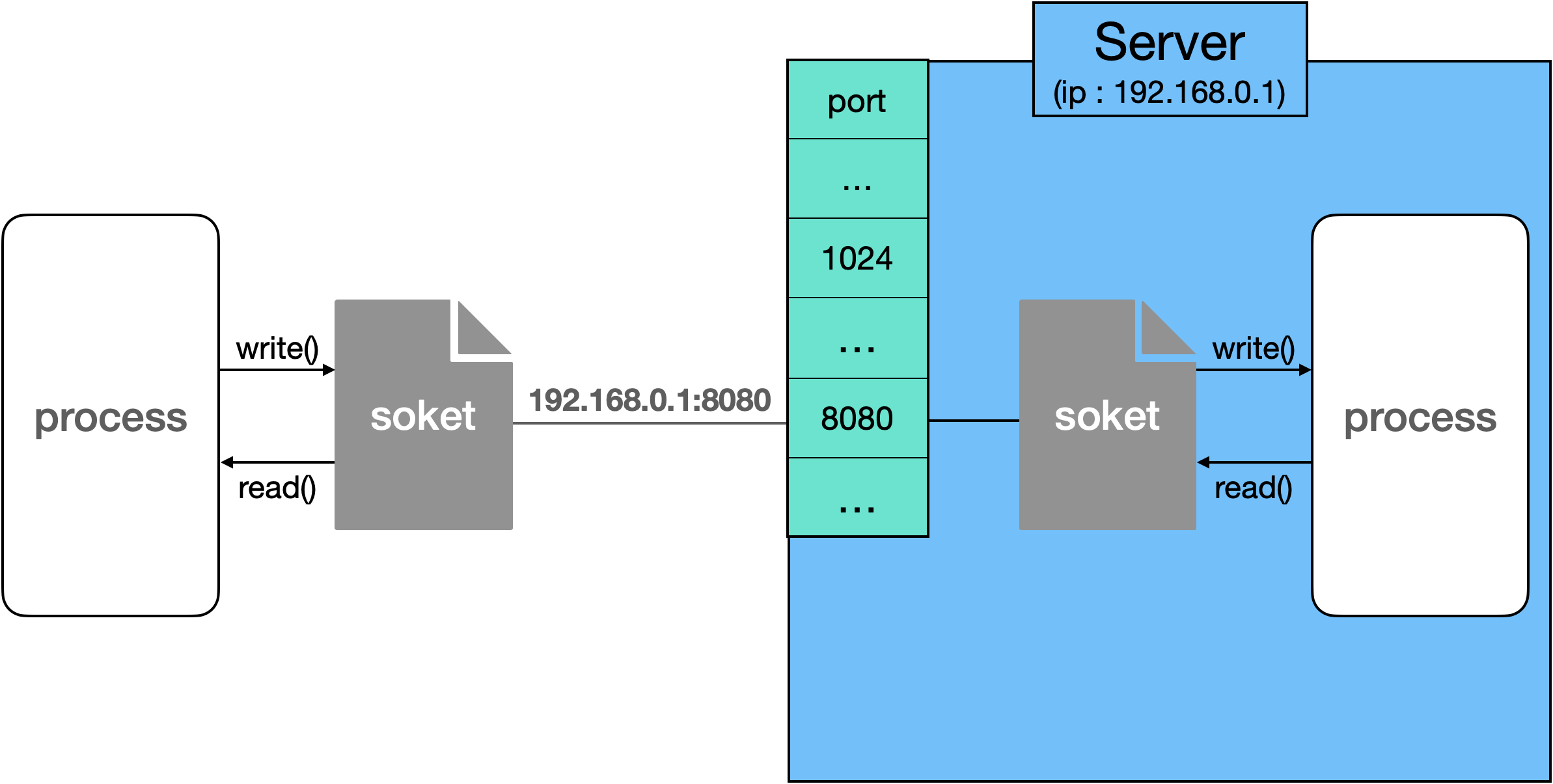 socket